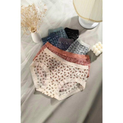 Combo 5 Quần Lót Nữ Voan Hoa Nhí Vintage – Lưng Cao, Big Size 2354