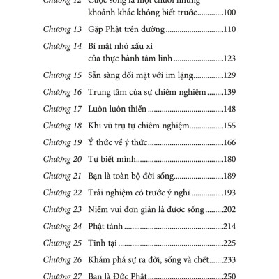 Điều Quan Trọng Nhất - Adyashanti