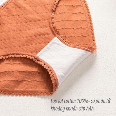 Quần Lót Cotton Kháng Khuẩn Viền Ren ( Mã B296)