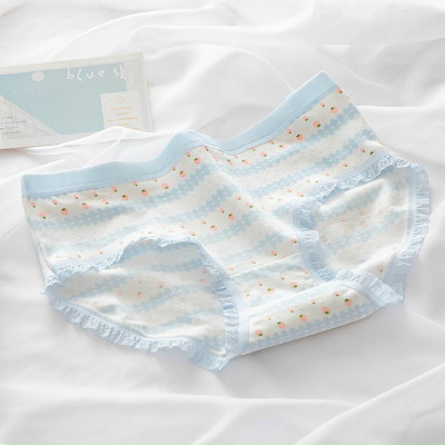 Combo 5 quần lót nữ cotton dễ thương Freesize - Kiểu Thỏ xanh (giao màu ngẫu nhiên)