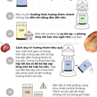 Nến ly tròn sáp đậu nành Yankee Candle size L (567g) - Bayside Cedar