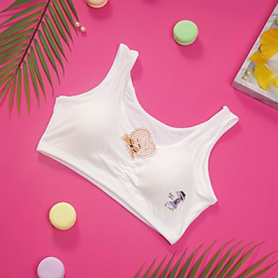 Combo 5 áo lá học sinh coton loai cao cấp chất vải đẹp màu trắng