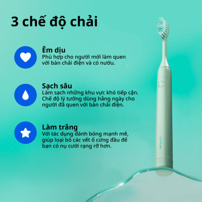 [MỚI] Bộ 2 Đầu thay thế bàn chải điện ZenyumSonic Spark - Màu Tím Lilac / Kem / Xanh Sage