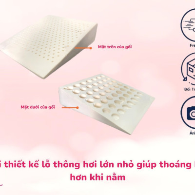 Gối Latex Foam Chống Trào Ngược Cho Người Lớn Kingroll 