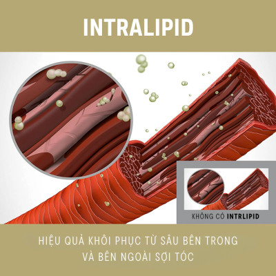 Dầu Xả Phục Hồi Tóc Hư Tổn Goldwell Rich Repair Phục Hồi Tóc Khô Xơ, Hư Tổn, Chẻ Ngọn Lên Tới 98%