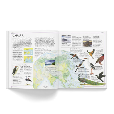 Sách - Atlas các loài chim - Bìa cứng - Đông A