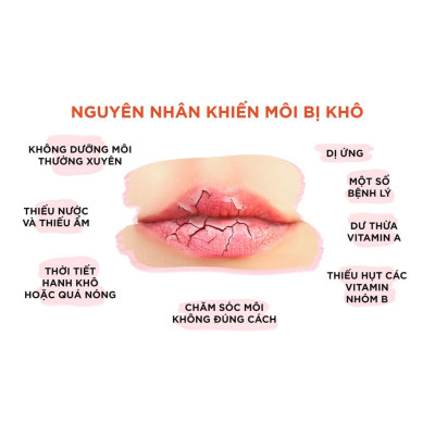 Son Dưỡng Môi DHC Lip Cream Nhật Bản 1,5g