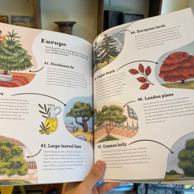 Sách - Around the World in 80 Trees by Ben Lerwill | Children