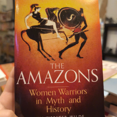 Sách - A Brief History of The Amazons by Lyn Webster Wilde | History Nonfiction English Book