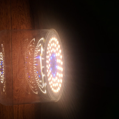 Đèn trồng cây, đèn quang hợp, vượt đông nhà lưới, nhà kính chính hãng Rạng Đông T135 WBU 50W, đui E27, IP54, phổ ánh sáng bước sóng tím, xanh, đỏ phù hợp cho hoa LAN, cây dưa lưới, dâu tây, cà chua