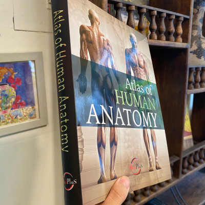 Sách - Human Anatomy by Jordi Vigue | Medical Science / Reference Nonfiction / Ngoại văn