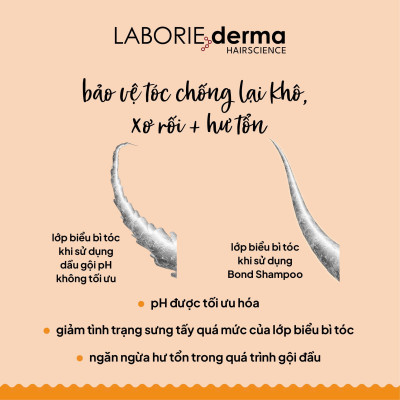 Dầu gội hỗ trợ phục hồi, tăng cường chắc khỏe tóc LABORIE derma Bond Shampoo 250ml