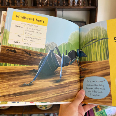 Sách - My First Book of Minibeasts by Zoe Ingram | Children