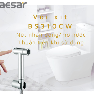 VÒI XỊT INOX 304 - BS310CW CAESAR