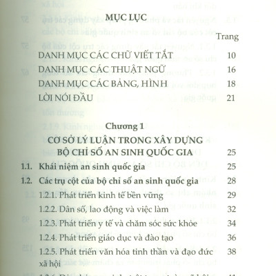 Những Vấn Đề Chung Trong Xây Dựng Bộ Chỉ Số An Sinh Quốc Gia (Sách Chuyên Khảo)