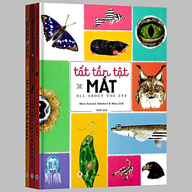 TẤT TẦN TẬT VỀ MẮT