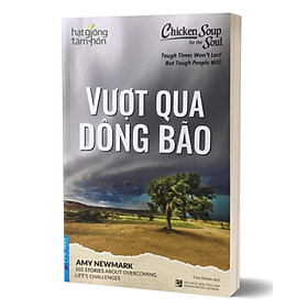 Hạt Giống Tâm Hồn - Chicken Soup For The Soul - Vượt Qua Dông Bão_FN