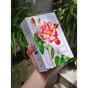 BỘ POSTCARD HOA HỒNG sử dụng 100 bức minh hoạ gốc trong sách Les Roses – Redoute (Nho Xanh)