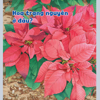 Wow, Thì Ra Là Thế! - Sự Sinh Trưởng Của Thực Vật