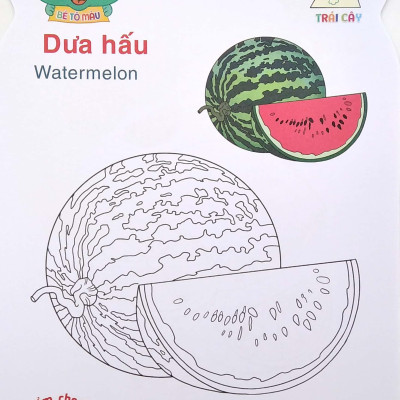 Gấu Con Khéo Tay - Bé Tô Màu: Trái Cây