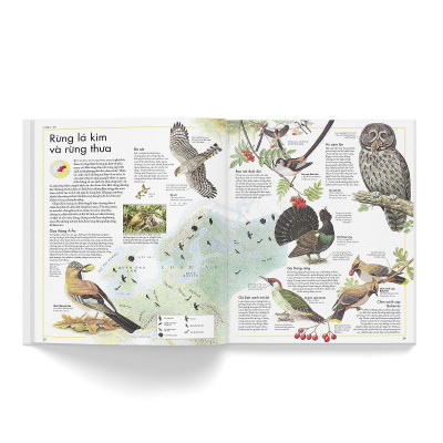 Sách - Atlas Động Vật + Atlas Các Loài Chim - Combo 2 Cuốn - Đông A
