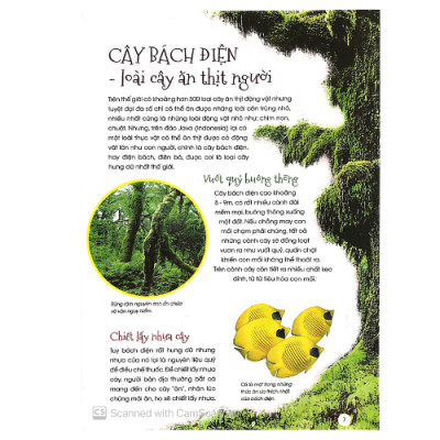 Thực Vật Thần Kỳ (HH)