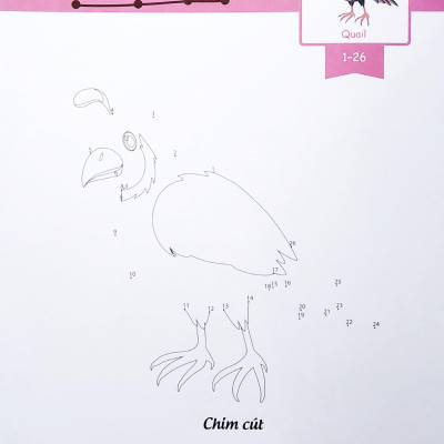 Dot To Dot Coloring Book - Nối Số & Tô Màu - Các Loài Chim