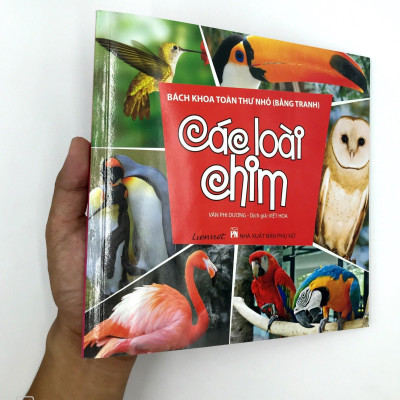 Bách Khoa Toàn Thư Nhỏ (Bằng Tranh) - Các Loài Chim