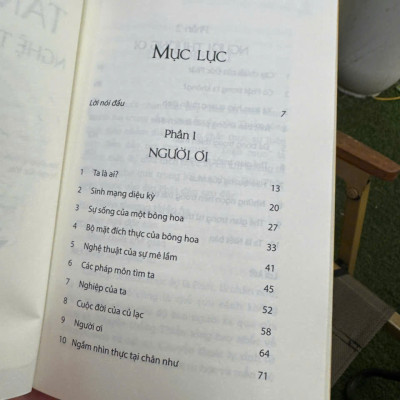 TÂM PHẬT - Nghệ Thuật Mê Lầm – Đinh Thanh Tùng – Thái Hà – NXB Thế Giới