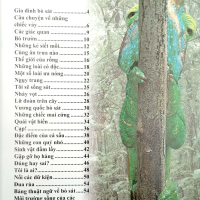 Bách Khoa Tri Thức Về Khám Phá Thế Giới Cho Trẻ Em - Reptiles - Bò Sát