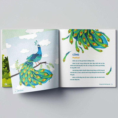 Chúng Mình Thích Bay Lượn - Từ Điển Muôn Loài