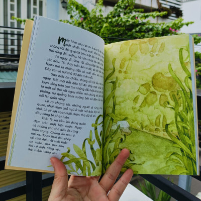 Con Cu Li Của Tôi - Vũ Hùng