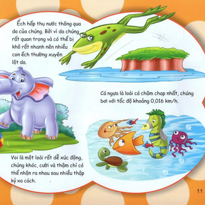 Những Điều Kỳ Thú - Kiến Thức Thú Vị