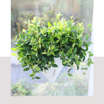 Chậu treo tường tự tưới hình tam giác MONROVIA, thiết kế thông minh, treo ban công, trong nhà, tiêu chuẩn châu Âu