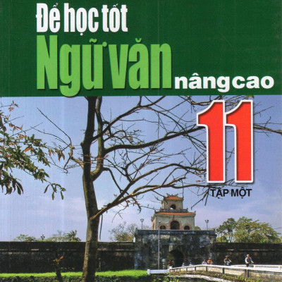 Để Học Tốt Ngữ Văn Nâng Cao Lớp 11 (Tập Một)