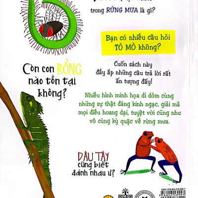 Những Câu Hỏi Tò Mò Và Giải Đáp Thú Vị Về Rừng Mưa