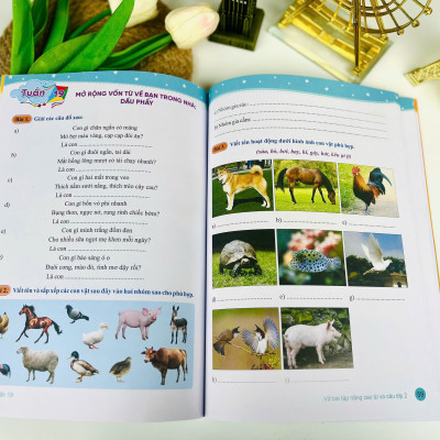 Sách - Vở Bài Tập Nâng Cao Từ Và Câu 2 - Biên soạn theo chương trình GDPT mới - Cánh Diều - ndbooks