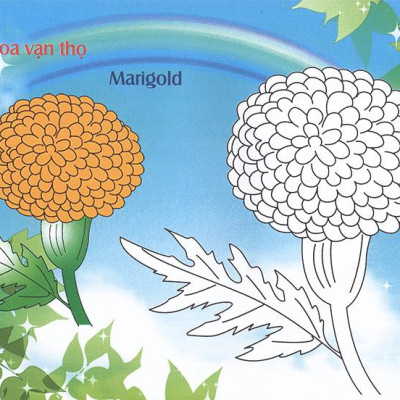 Bé Làm Quen Môi Trường - Các Loài Hoa
