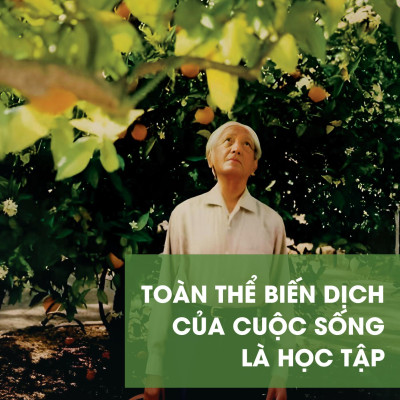 Toàn Thể Biến Dịch Của Cuộc Sống Là Học Tập