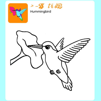 Sách - Tớ Tự Tô: Xứ Sở Chim Muông