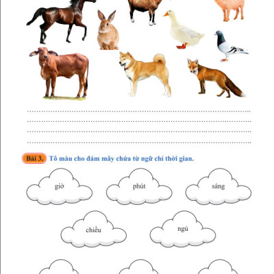 Sách - Vở Bài Tập Nâng Cao Từ Và Câu 2 - Biên soạn theo chương trình GDPT mới - Cánh Diều - ndbooks