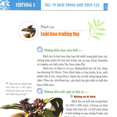 Khám Phá Bí Ẩn Thế Giới Tự Nhiên Dành Cho Học Sinh : Sinh Vật _ML