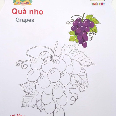 Gấu Con Khéo Tay - Bé Tô Màu: Trái Cây