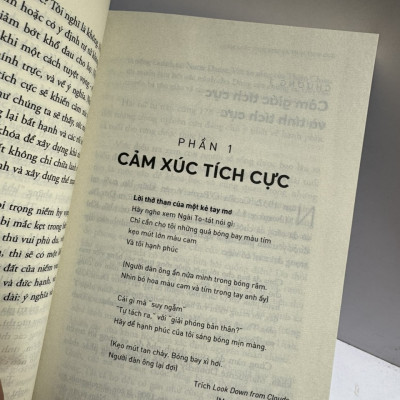 HẠNH PHÚC ĐÍCH THỰC - Áp dụng tâm lý học tích cực để khám phá tiềm năng hạnh phúc lâu dài - M. E. P. Seligman - Bảo Trâm dịch - Times - NXB Dân Trí