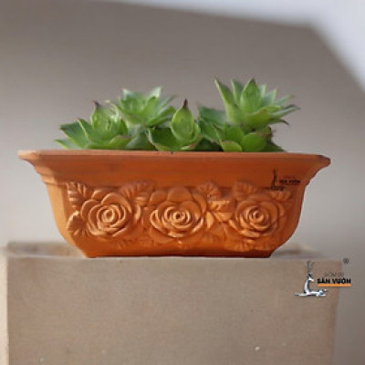 Chậu Treo Tường Đất Nung Hình Chữ Nhật Vân Hoa Hồng