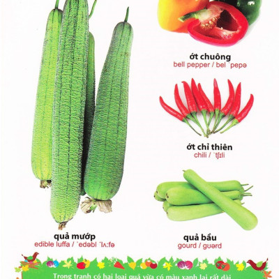 Sách: Từ Điển Tranh Về Rau - Củ - Quả - Hoa (Bìa Cứng)