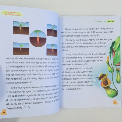 Thư Viện Tri Thức Dành Cho Học Sinh: Khám Phá Thế Giới Tự Nhiên + Những Điều Kì Thú Về Trái Đất