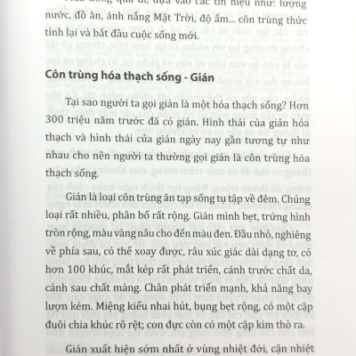 Tri Thức Bách Khoa - Côn Trùng - Động Vật - Con Người - Thực Vật