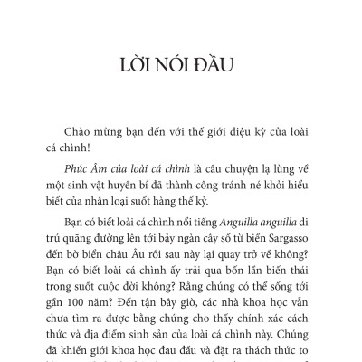 Phúc Âm Của Loài Cá Chình