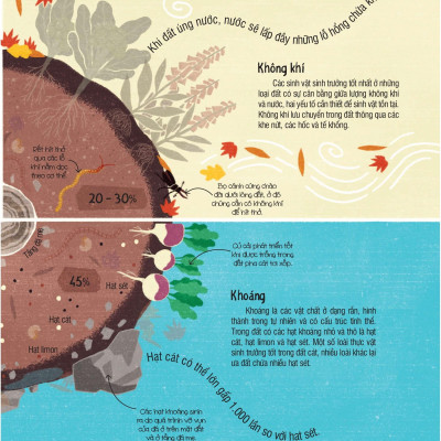 Under Your Feet - Dưới Đôi Bàn Chân Bạn - Đất, Cát Và Ti Tỉ Thứ Dưới Lòng Đất